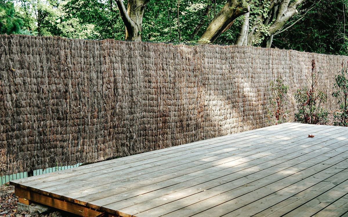 Clean timber decking in a back garden